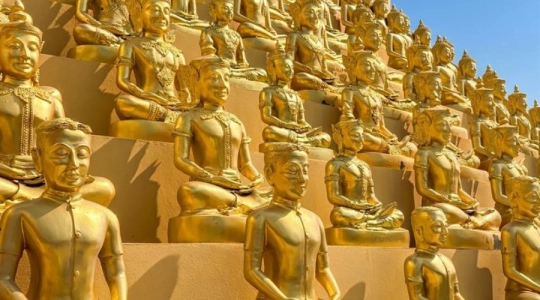 モンコンテープ